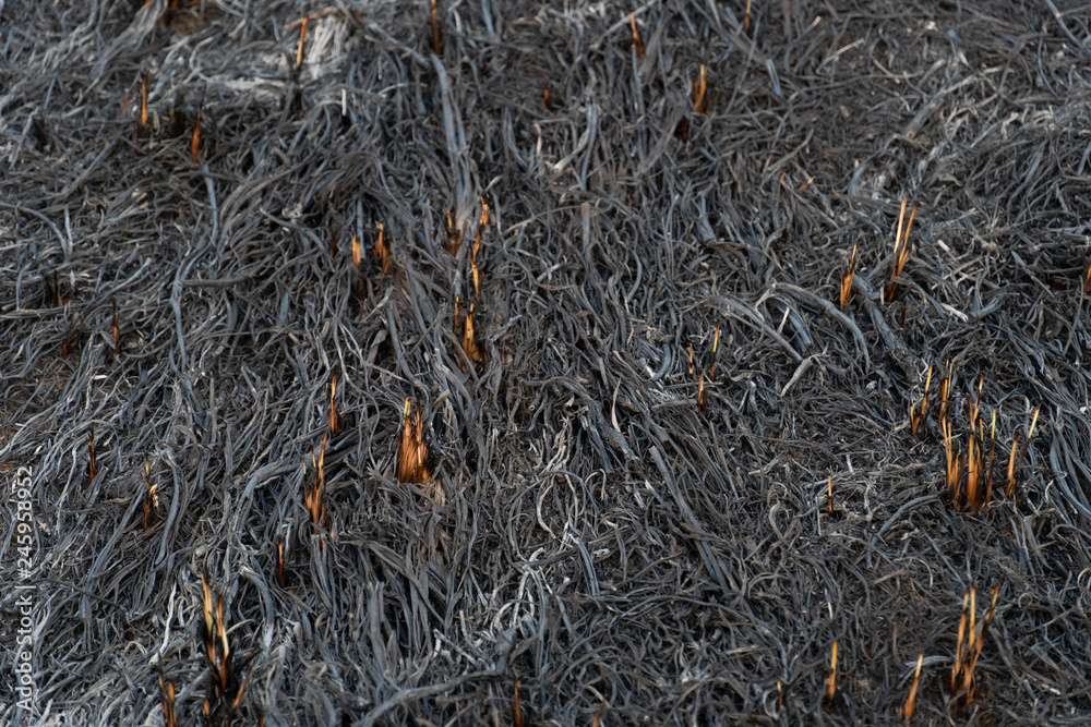 Air disaster caused by burning wild charcoal from burning grass in the outdoors. Air disaster caused by burning wild charcoal from burning grass in the outdoors.