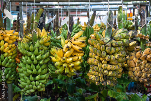 Different banana organic hanging for shell at the market