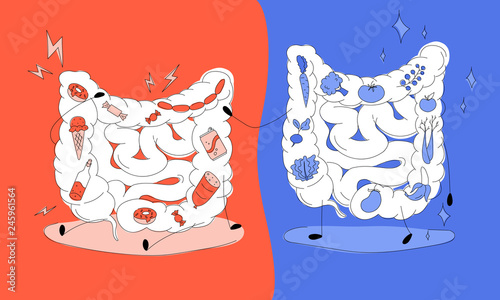 The effect of harmful and healthy food on  a bowel. Colorful vector illustration for web and printing.