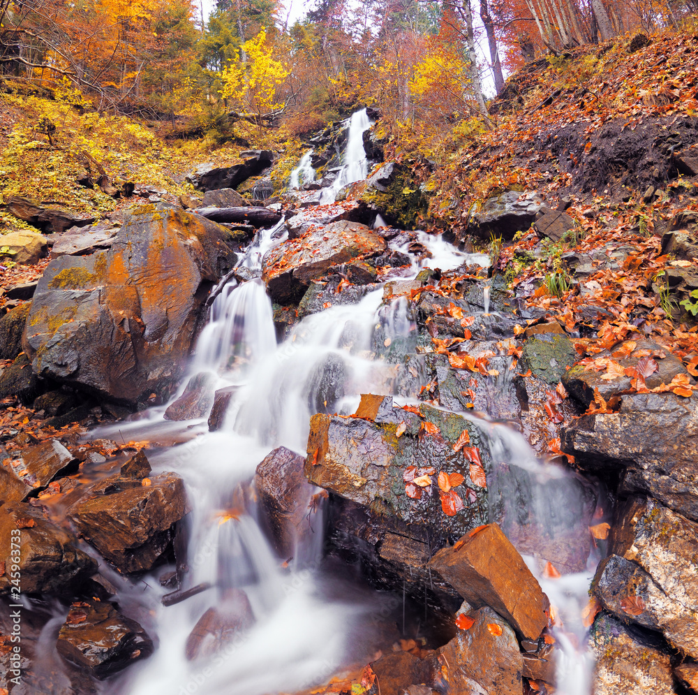 waterfall at the autumn forest waterfall at the autumn forest