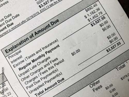 Mortgage Loan Statement Showing Payment Detail