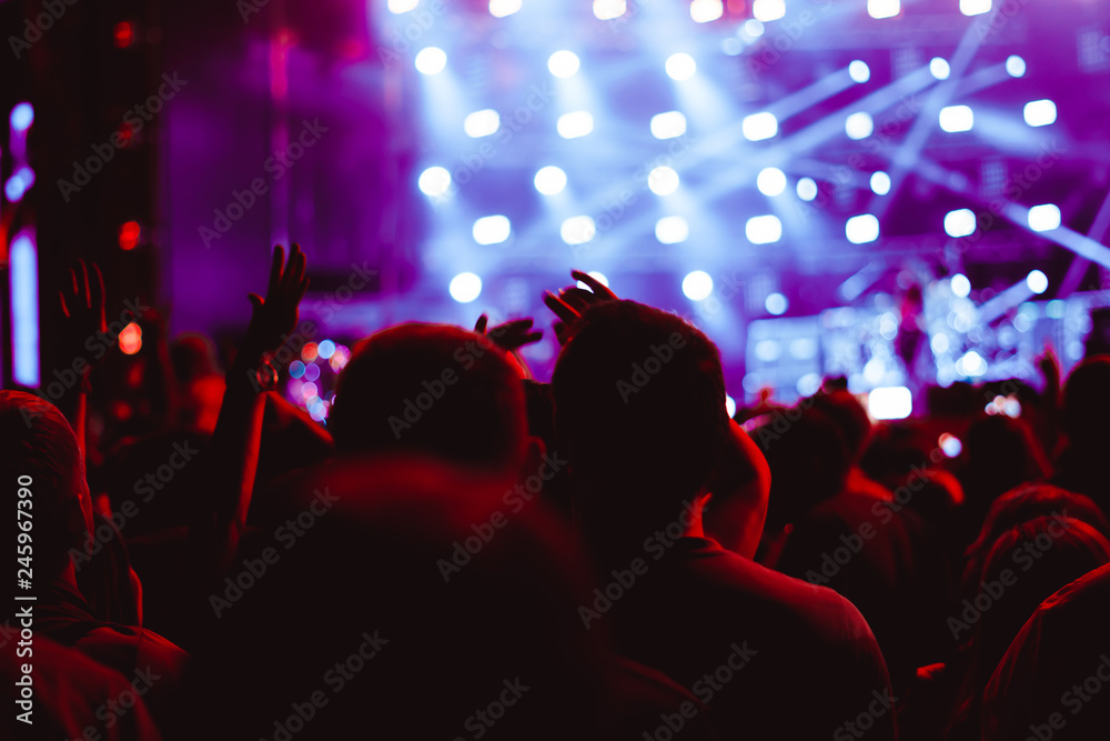 custom made wallpaper toronto digitalhands of people at the concert