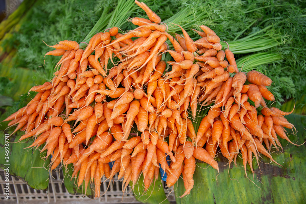 Full Frame Shot Of the Bunch Carrots For Sale At Market Full Frame Shot Of the Bunch Carrots For Sale At Market