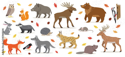 Big set of forest woodland animals isolated on white, owl, squirrel, hare, bear, fox, wolf, badger, hedgehog bullfinch, moose, deer, lynx, boar beaver colorful woodpecker and small mouse vector