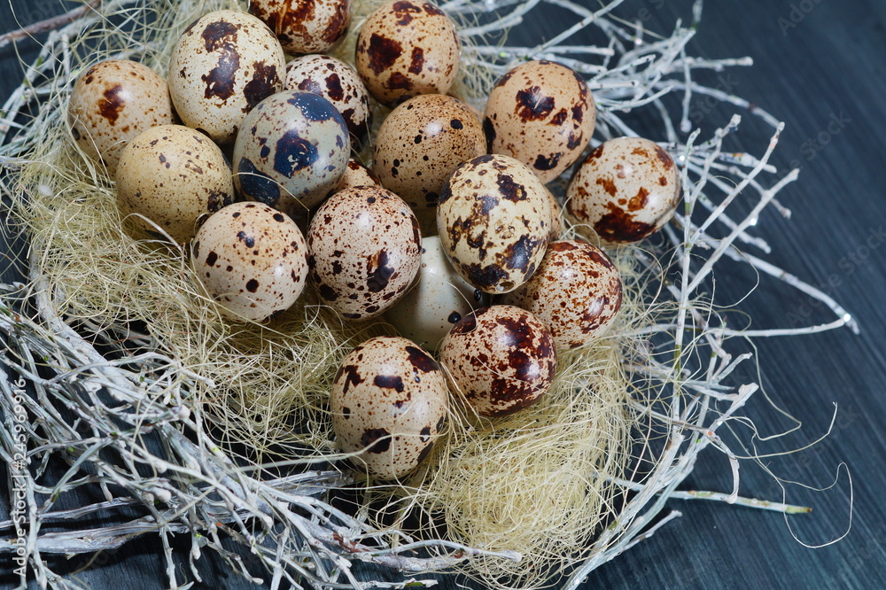 Obraz premium Quail eggs in a basket - Easter composition.Easter Tradition - Selective focus