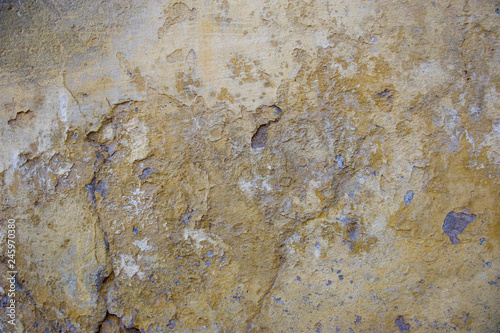 wall plaster
