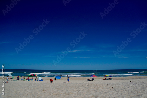 American life / A sandy beach and a group of wild horses napping.