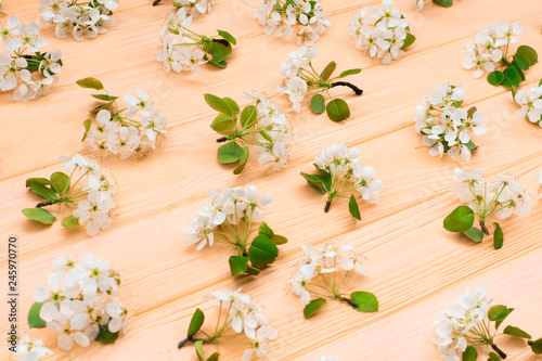 Spring blooming branches on pink wooden background. Apple, cherry and pear blossoms