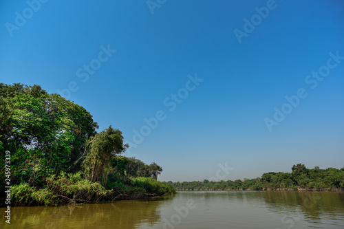 Pantanal forest ecosystem, Mato Grosso, Brazil