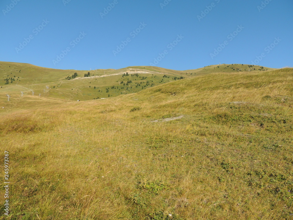 landscape with green grass and blue sky landscape with green grass and blue sky