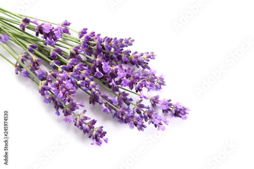 Fototapeta Naklejka Na Ścianę i Meble -  Lavender.