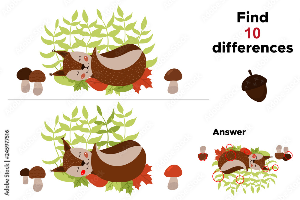 Educational game for preschool kids, find ten differences. With answer.  Cute cartoon squirrel is sleeping. Woodland animals. Vector illustration.  Stock Vector | Adobe Stock