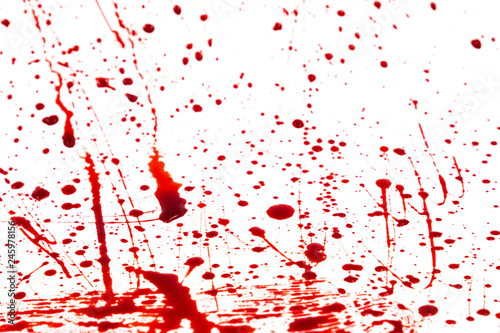 Bloody splashes and drops on a white background. Dripping and following red blood (paint)