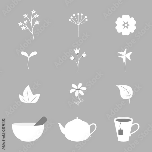 Vector set of isolated icons with different herbs and objects in flat style. For kitchen (spices, condiments and herbs), alternative and chinese medicine, wellness, yoga, zen, ayurvedic concept.