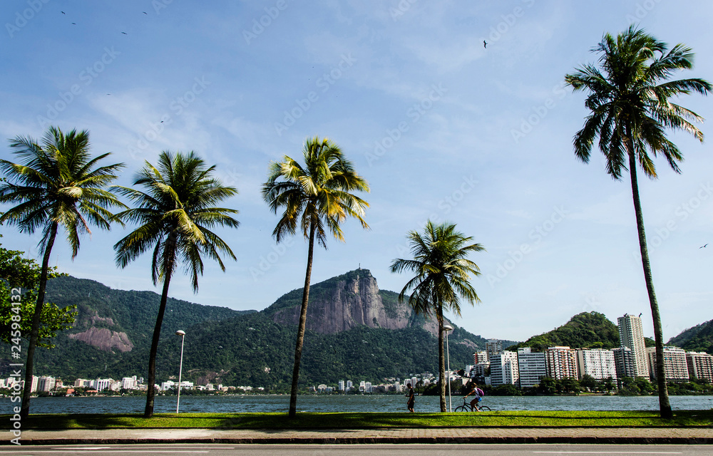 Fototapeta premium Lagoa Rodrigo de Freitas