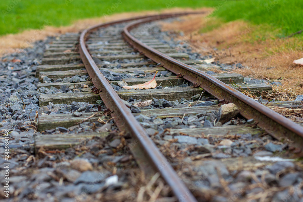 Naklejka premium Narrow guage railroad tracks in Agnew Park, Stranraer, Scotland, United Kingdom