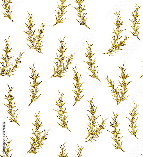 Rosemary golden herbal illustration