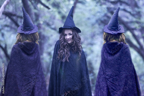 HALLOWEEN SHABASH WITCH photo