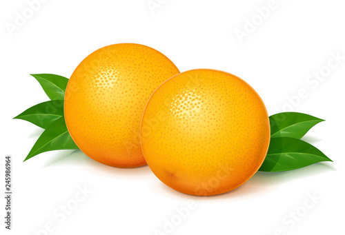 Ripe, juicy orange with green leaf. Realistic tropical fruit.