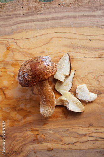 A little frozen Boletus Edulis mushroom from the wood