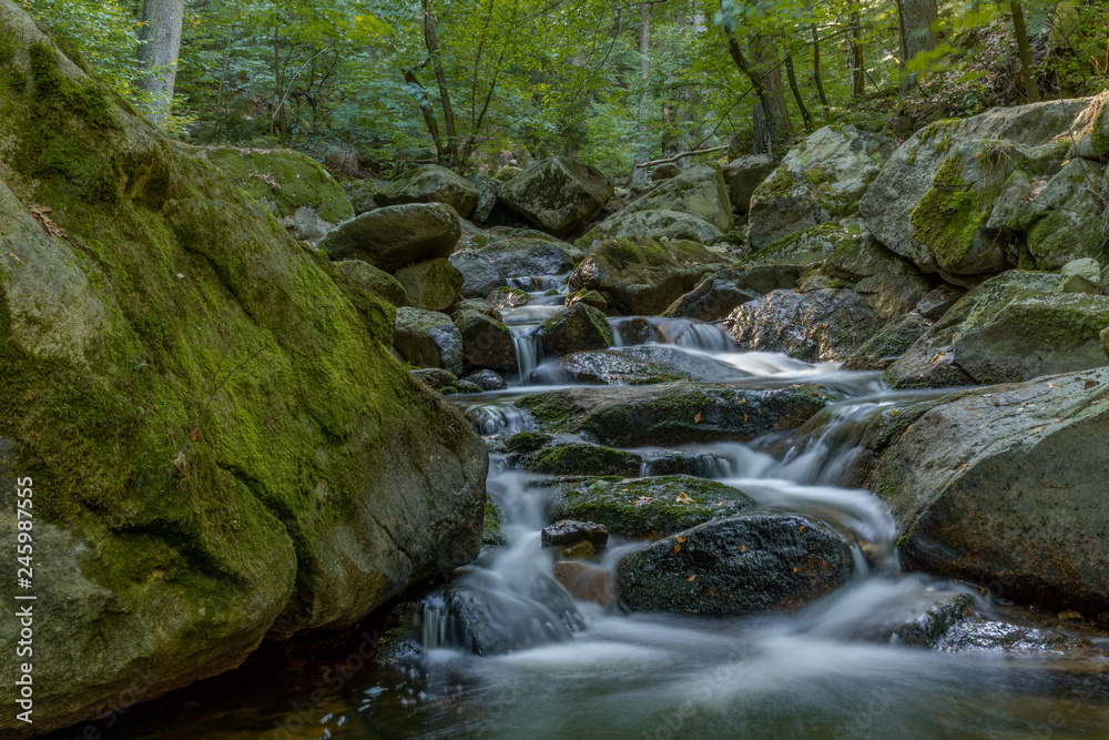 Wild motion mountain river with waterfalls over wet rocks in a forest nature landscape . Ilsetal in Ilsenburg, National Park Harz in Germany Wild motion mountain river with waterfalls over wet rocks in a forest nature landscape . Ilsetal in Ilsenburg, National Park Harz in Germany