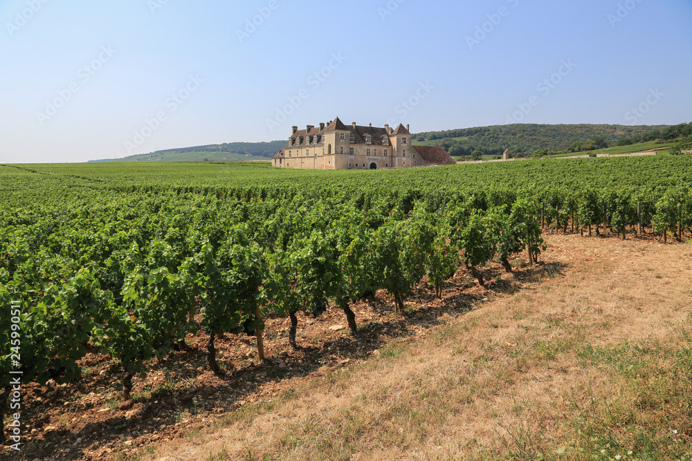 Weinbaugebiet Burgund: Weinberge und das berühmte Schloss Clos de Vougeot