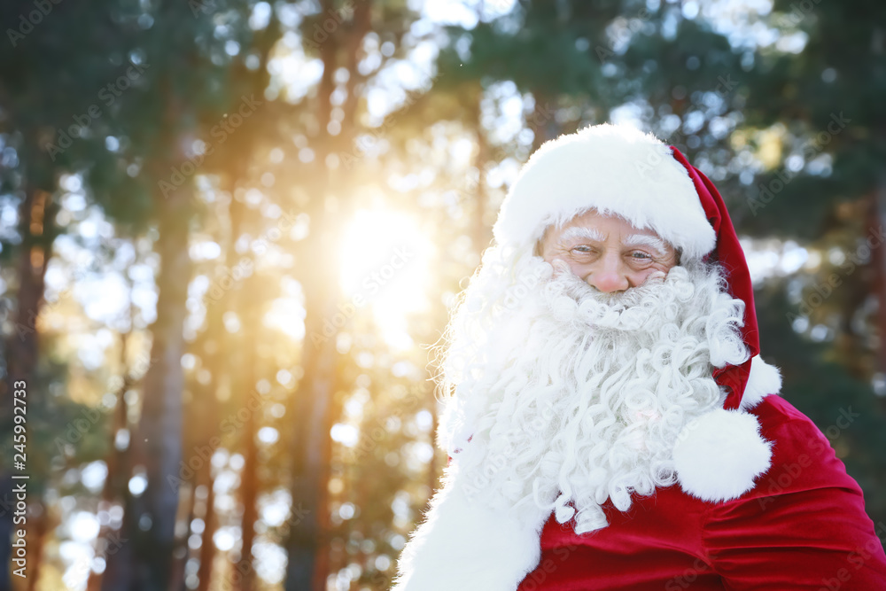 Happy Authentic Santa Claus outdoors, space for text Happy Authentic Santa Claus outdoors, space for text