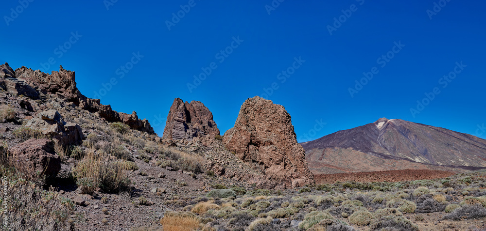 Fototapeta premium Teide National Park