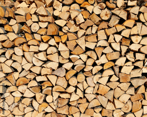 logs and timbers of a woodpile