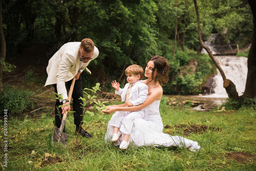 Fototapeta premium The happy newlyweds planting a tree near the waterfall and a little boy sitting on the lap of a bride and helping them