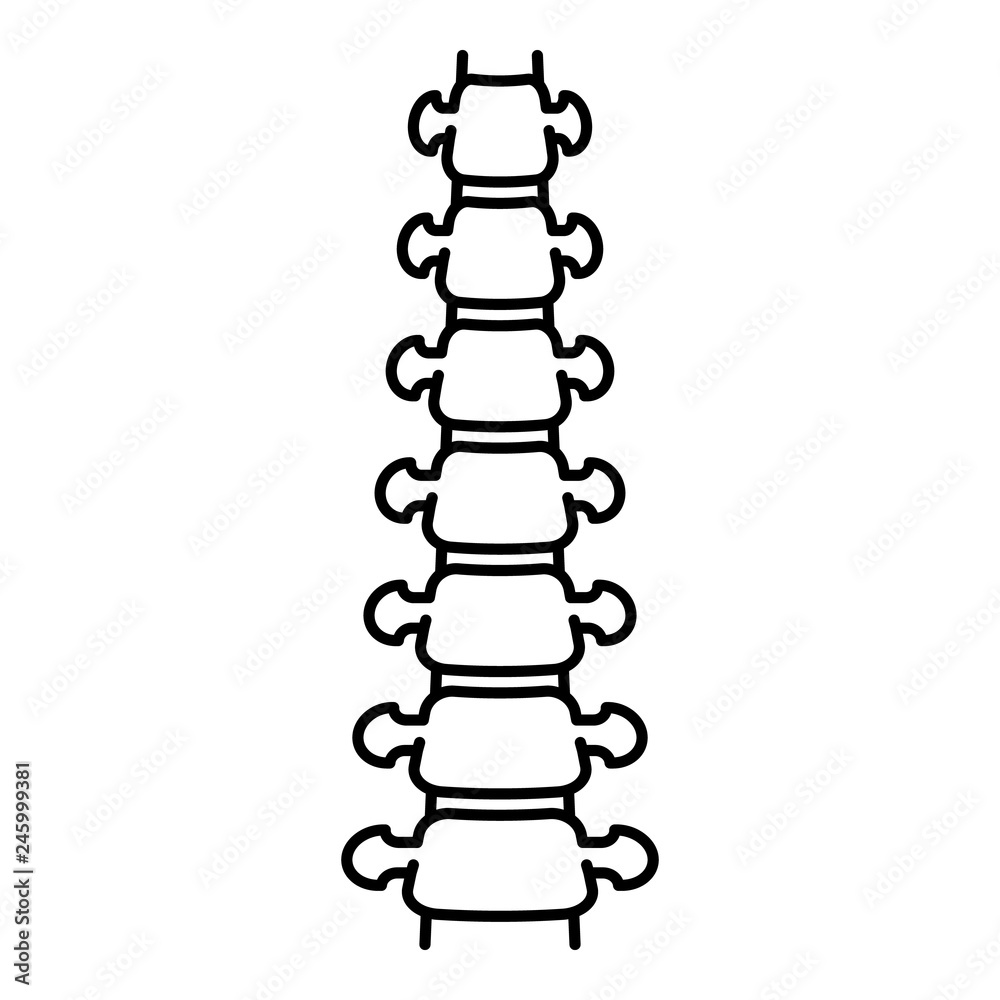Human spine icon. Outline human spine vector icon for web design isolated on white background Human spine icon. Outline human spine vector icon for web design isolated on white background
