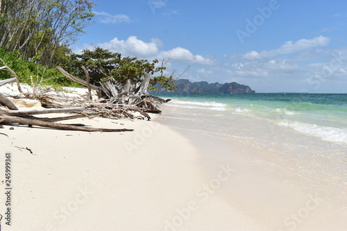 Fototapeta Naklejka Na Ścianę i Meble -  Beautiful panorama of the lonely beach with a white tree trunk in front at Poda Island in Krabi, Thailand, Asia