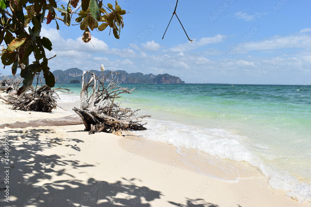Beautiful panorama of the lonely beach with a white tree trunk in front at Poda Island in Krabi, Thailand, Asia Beautiful panorama of the lonely beach with a white tree trunk in front at Poda Island in Krabi, Thailand, Asia