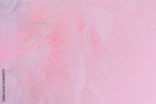 Abstract pink colored feathers background. Fluffy feather fashion design vintage bohemian style pastel texture.