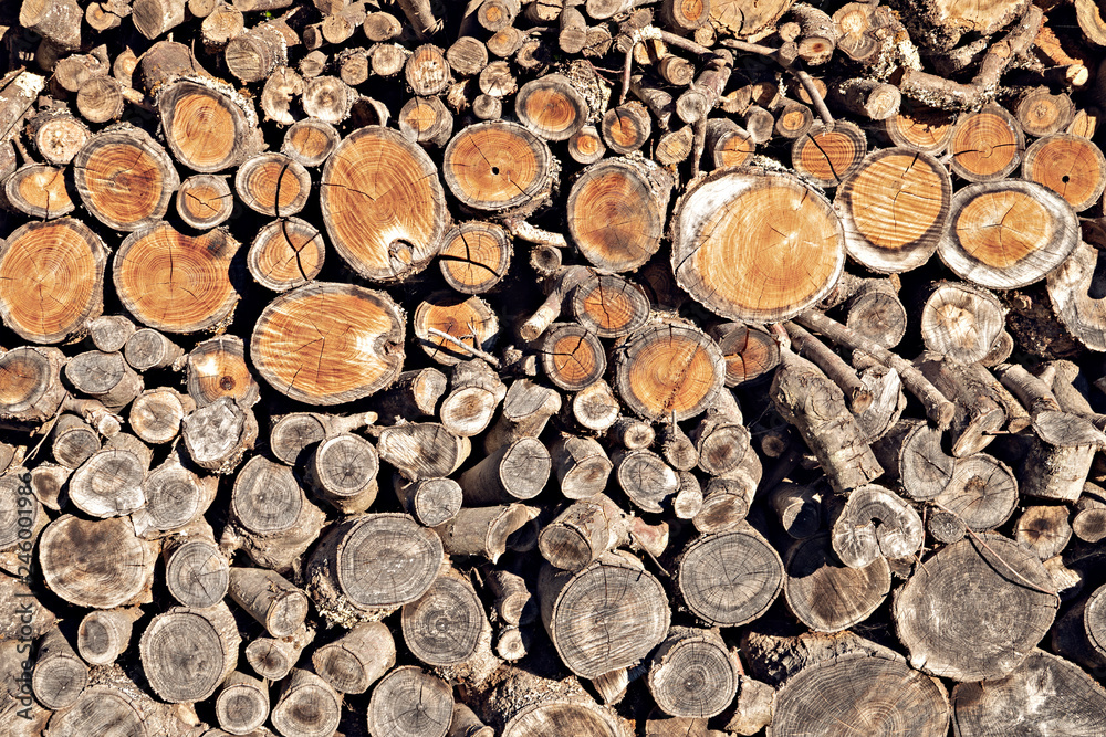 Round teak wood stump background. Stack of natural fire wood Round teak wood stump background. Stack of natural fire wood