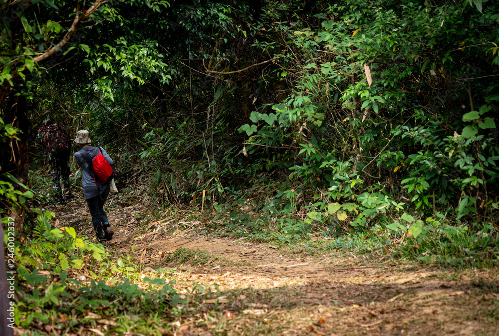 Group of hikers walking in mountains. Group of hikers walking in mountains.
