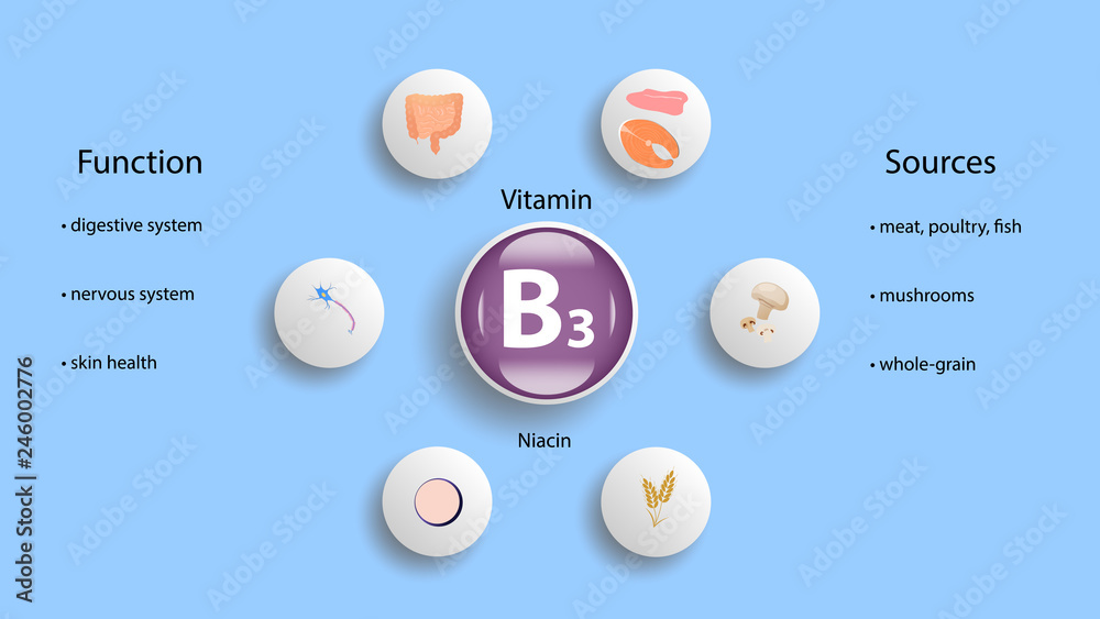 Vitamin B3 vector design. Vitamin B3 function and sources. Niacin Stock