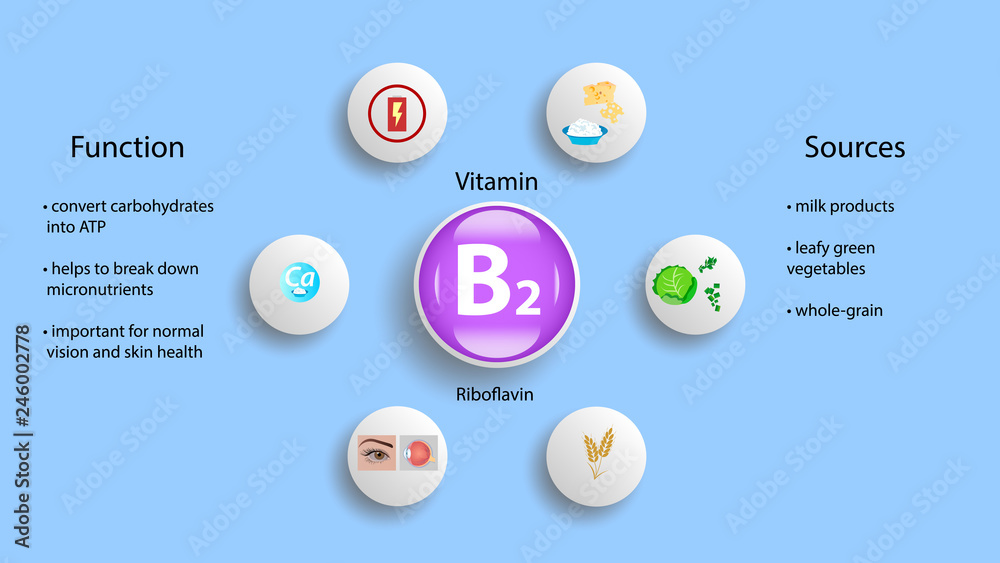 Vitamin B2 vector design. Vitamin B2 function and sources. Riboflavin ...