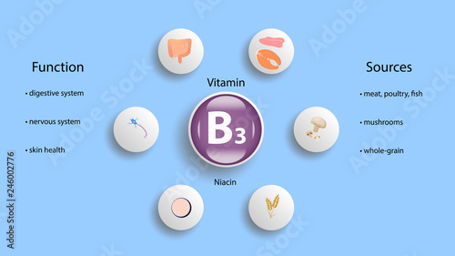 Vitamin B3 vector design. Vitamin B3 function and sources. Niacin