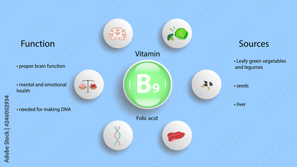 Vitamin B9 vector design. Vitamin B9 function and sources. Folic acid ...