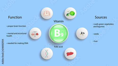 Vitamin B9 vector design. Vitamin B9 function and sources. Folic acid