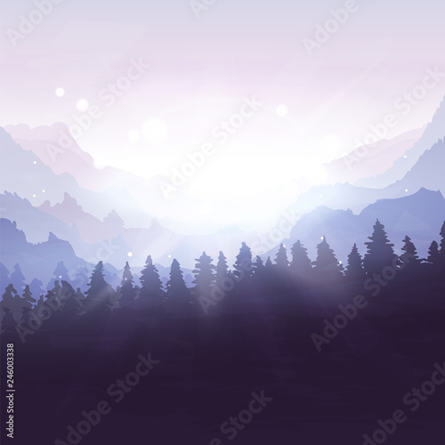 Winter forest landscape at dawn. light from the sun. vector illustration
