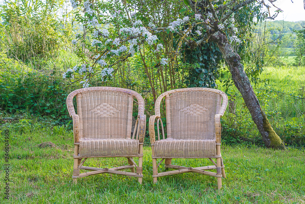 Two wicker chairs in spring blooming garden