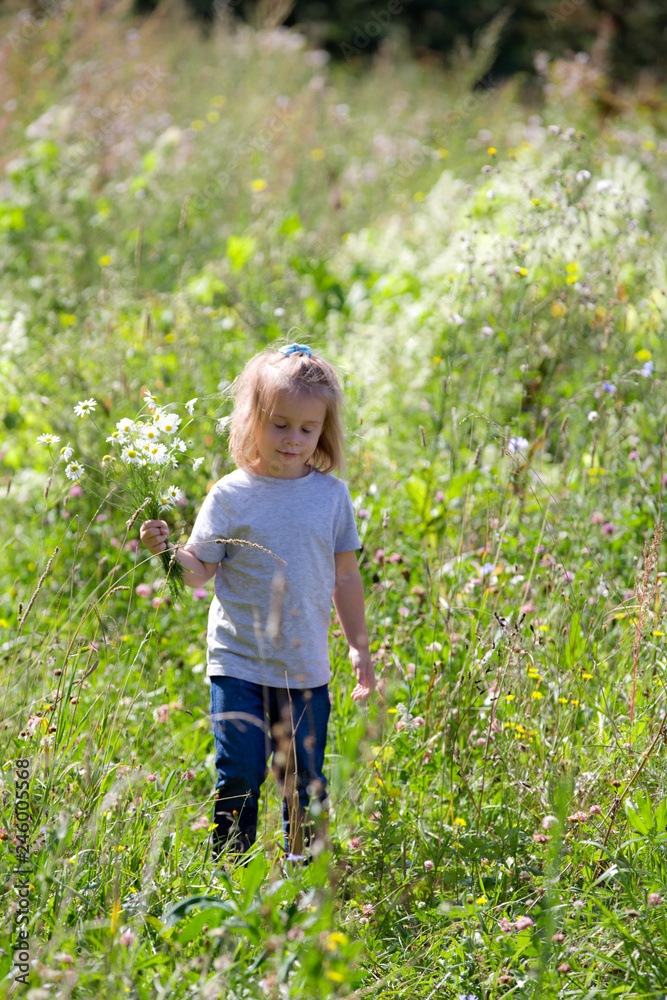 Cute girl on a summer field with a bouquet of daisies Cute girl on a summer field with a bouquet of daisies