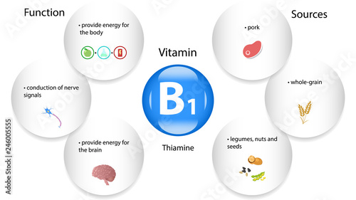 Vitamin B1 vector design. Vitamin B1 function and sources 