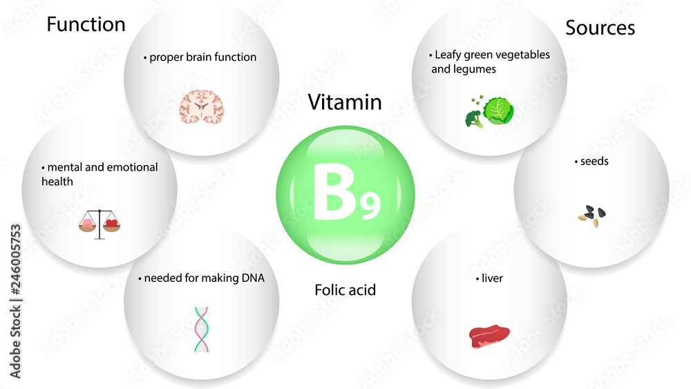 Vitamin B9 vector design. Vitamin B9 function and sources. Folic acid