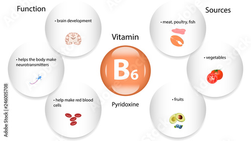 Vitamin B6 vector design. Vitamin B6 function and sources. Pyridoxin