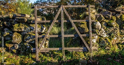 wooden gate in the garden