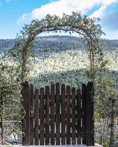 Knocking on Heaven's door 