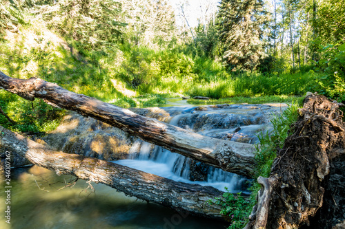 Summer time at the spring, Big Hill Springs Provincial Recreation Area, Bearspaw, Alberta